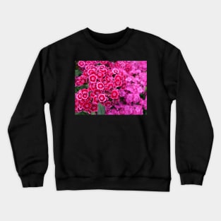 Sweet William pink flower Auricula-Eyed Mixed Crewneck Sweatshirt